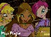 winx animace1